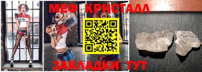 стафф Гай