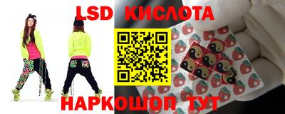 стафф Гай