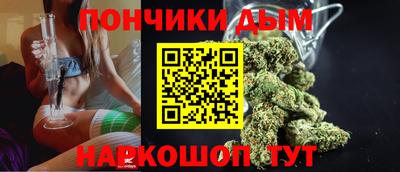 спиды Гатчина