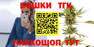 стафф Гай