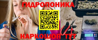 стафф Гай