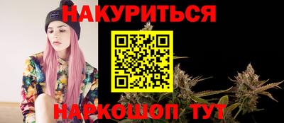спиды Гатчина