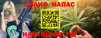 стафф Гай